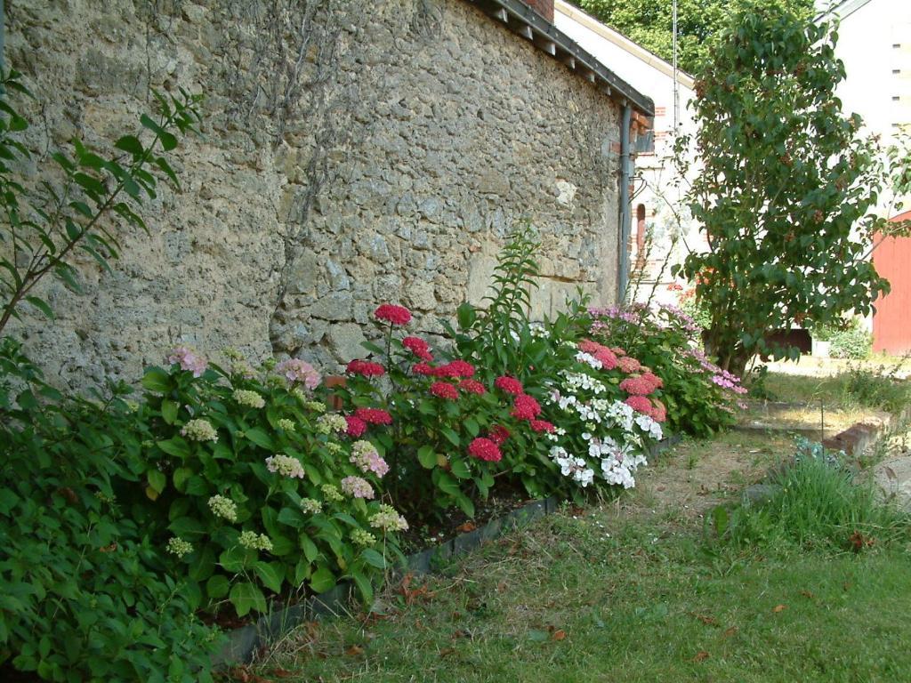 Chateau Du Beugnon Bed and Breakfast Tigné Εξωτερικό φωτογραφία